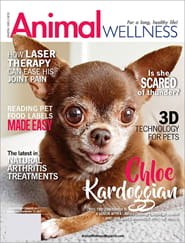 Animal Wellness Magazine