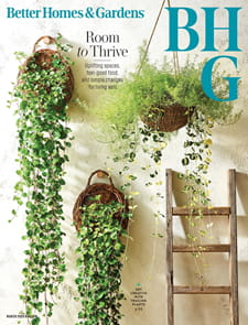Better Homes and Gardens Magazine