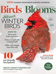 Birds & Blooms Magazine