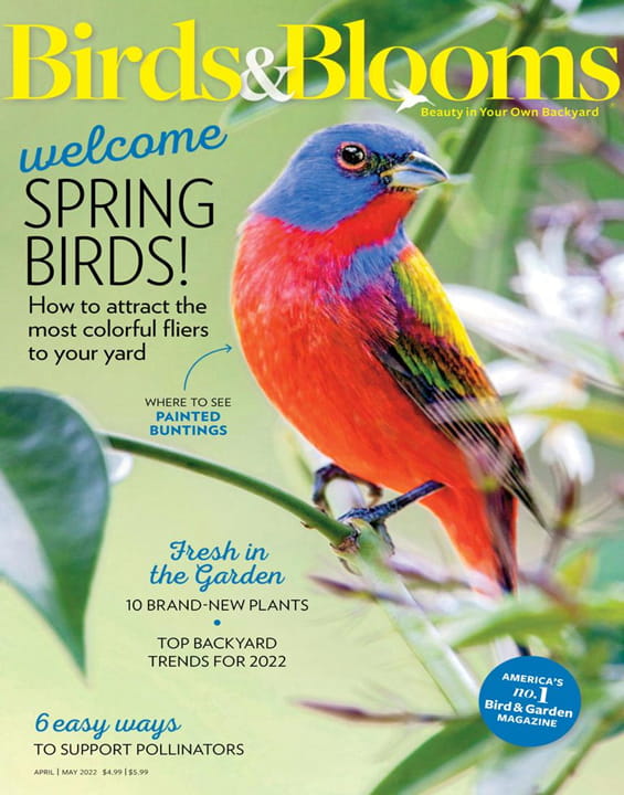 Birds & Blooms Magazine