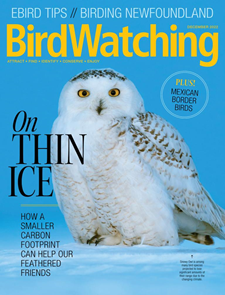 BirdWatching Magazine