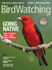 BirdWatching