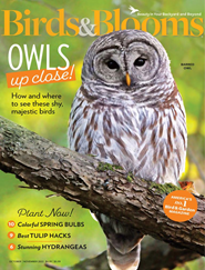 Birds & Blooms - Digital Magazine
