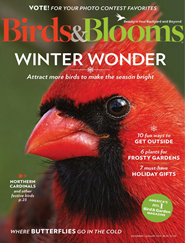 Birds & Blooms - Digital Magazine