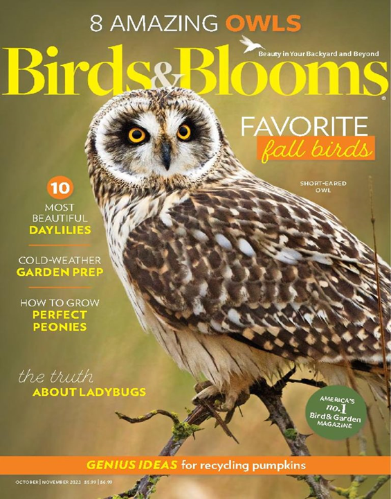 Birds & Blooms - Digital Magazine