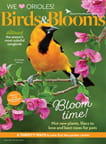 Birds & Blooms - Digital