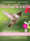 Birds & Blooms - Digital