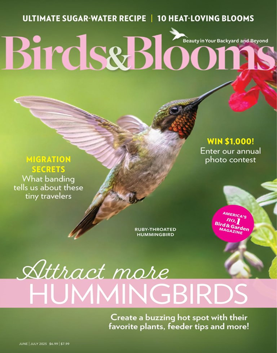 Birds & Blooms - Digital Magazine