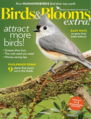 Birds & Blooms Extra Magazine