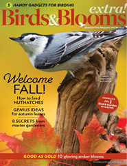 Birds & Blooms Extra Magazine