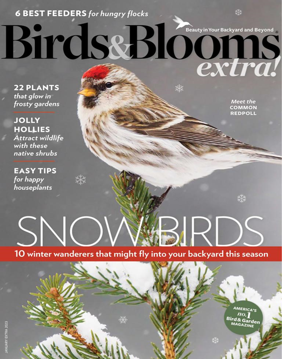 Birds & Blooms Extra Magazine