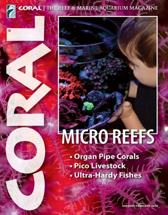 Coral Magazine