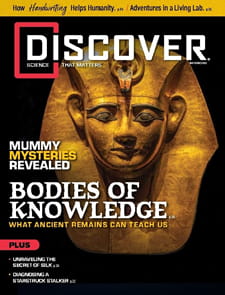 Discover-Digital Magazine