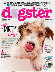 Dogster Magazine