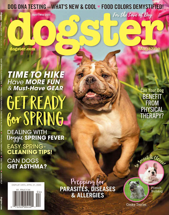 Dogster Magazine