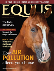 Equus Magazine