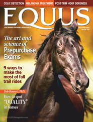 Equus Magazine