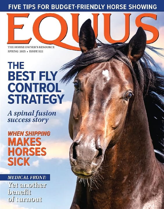 Equus Magazine