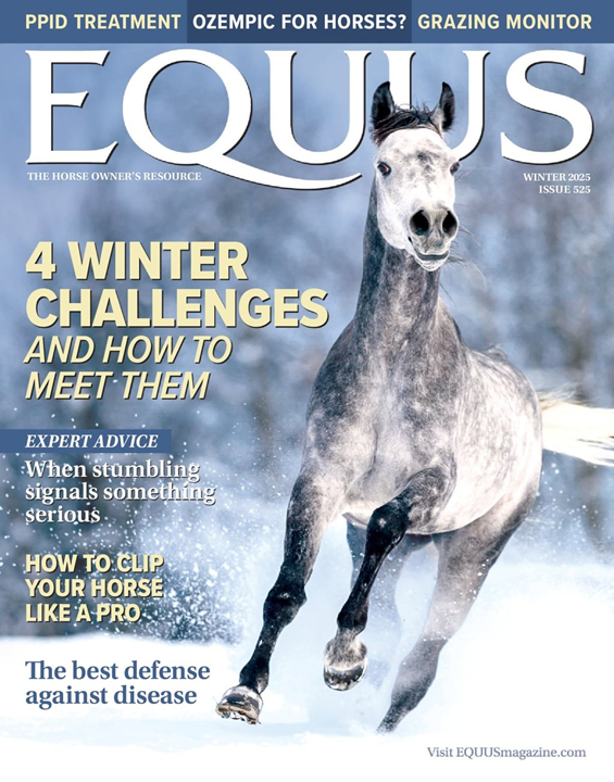 Equus Magazine