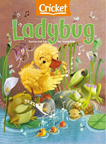 Ladybug