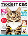 Modern Cat Magazine