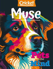 Muse Magazine