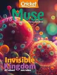Muse Magazine