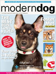 Modern Dog Magazine