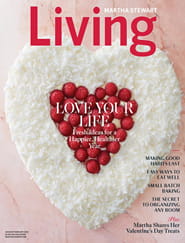 Martha Stewart Living Magazine