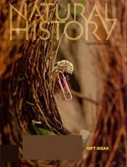 Natural History Magazine