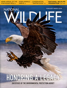 National Wildlife Magazine