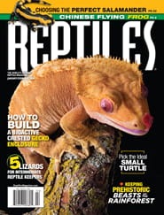 Reptiles Magazine