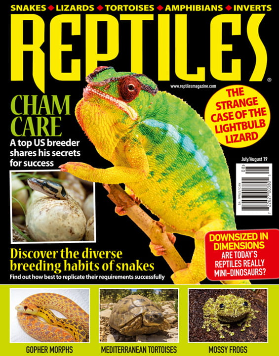 Reptiles Magazine