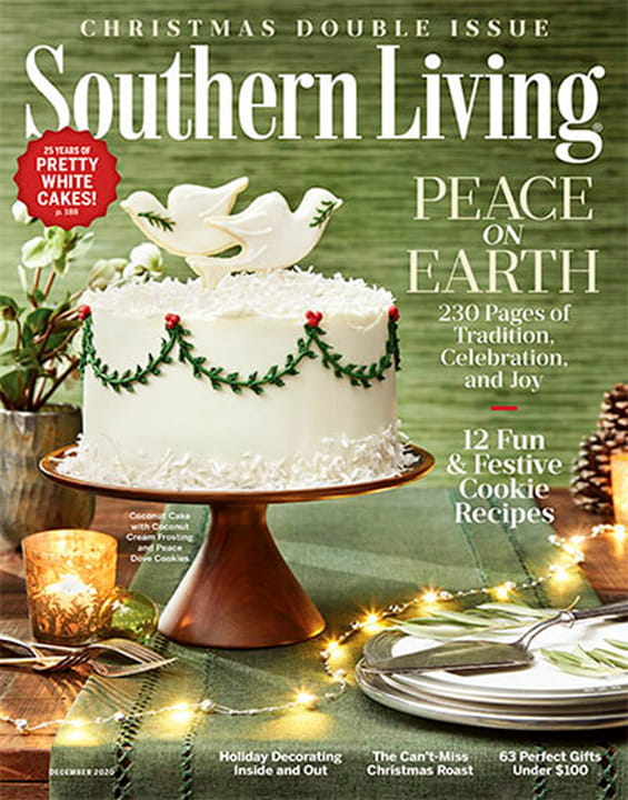 Southern Living Magazine Subscription NEA Mag