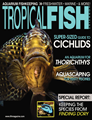Tropical Fish Hobbyist Magazine
