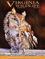 Virginia Wildlife Magazine