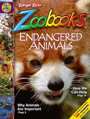 Zoobooks Magazine