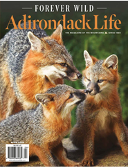 Adirondack Life Magazine