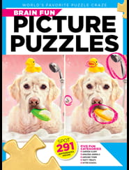 Brain Fun Picture Puzzles Magazine
