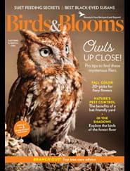 Birds & Blooms - Digital Magazine