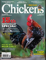 Chickens Magazine