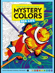 Mystery Colors Magazine