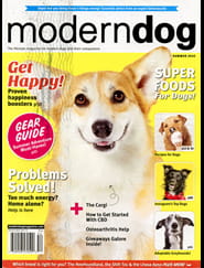 Modern Dog Magazine