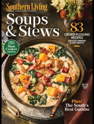 Southern Living - Digital Magazine